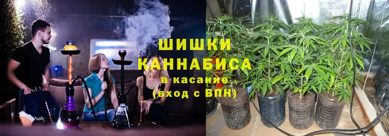 нарко площадка состав  hydra ТОР  Будённовск  купить наркотик  Конопля SATIVA & INDICA 